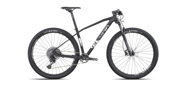 BICI MTB OLYMPIA DRAKE 29 COUGAR  BLAZE RL, SRAM SX 12 VEL. FRENI XFEEL COLORE GRIGIO NERO MISURA S